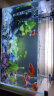 森森 超白玻璃小鱼缸HWK-420P套缸款生态玻璃缸造景水草缸金鱼缸 实拍图