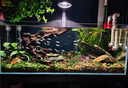 栗多魚(yú)魚(yú)缸換水神器吸魚(yú)糞便吸污清潔洗沙器魚(yú)缸清理?yè)Q水一體電動(dòng)抽水泵 60W透明款+3米水管+過(guò)濾芯+清潔布袋 曬單實(shí)拍圖