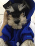 秋冬裝狗衣服 小寵物 泰迪狗狗衣服 小型犬 春夏裝幼犬衣服 前腳雙腳衣服 萌寵服裝 小犬外套 貓外套 帶帽狗深藍 XS適合背長16cm胸圍27cm體重1-2斤 曬單實拍圖