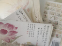 澹煙疏雨落花天（明信片） 曬單實(shí)拍圖