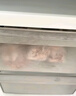 美的（Midea）三門(mén)249家用電冰箱小型三開(kāi)門(mén)無(wú)霜變頻一級(jí)能效多門(mén)宿舍租房以舊換新小冰箱MR-249WTPE國(guó)家補(bǔ)貼 曬單實(shí)拍圖