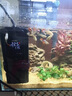 sobo松寶 魚(yú)缸加熱棒自動(dòng)恒溫水族箱變頻加熱器烏龜加溫器電熱棒加溫棒 50W【智能變頻+精準恒溫】30-40cm魚(yú)缸 曬單實(shí)拍圖
