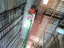 農(nóng)百順工業(yè)電暖風(fēng)機(jī)養(yǎng)殖育雛暖風(fēng)爐豬舍取暖器廠房大面積不銹鋼熱風(fēng)機(jī)烘干房升溫大棚熱風(fēng)機(jī)烘干加溫設(shè)備 7.5kw 380V 曬單實(shí)拍圖