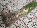 周大闖金娃娃萱草庭院花園陽(yáng)臺盆栽花卉 花壇花草多年宿根草本綠化植物 20棵 10cm以下 曬單實(shí)拍圖