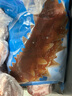 宮壹大連即食海參直接吃 新鮮速發(fā)底播刺參海鮮水產(chǎn) 即食海參 500g 9-15只 曬單實(shí)拍圖