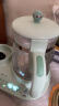 小熊（Bear）恒温水壶 调奶器1.2L 温奶器 奶瓶消毒器分离式恒温水壶TNQ-A12L1 实拍图