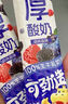 嚼絆官方直發(fā)草莓車(chē)厘子森林莓葡萄桑葚條狀厚酸奶條常溫酸奶零食整箱 草莓車(chē)厘子10條+蜜烤香橙10條 曬單實(shí)拍圖