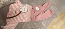 樂芭鼠童裝女寶寶套裝春秋兒童衣服女童衛(wèi)衣套裝秋季嬰幼兒中小童休閑褲 粉紅色 80碼建議8-12個(gè)月(身高70-80cm) 曬單實(shí)拍圖