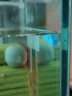 YEE硝化细菌胶囊鱼缸水族箱硝化菌干粉鱼缸水质净化消化细菌硝化细菌 六代升级高浓缩150粒 实拍图