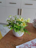 樹顏假花擺件塑料花含花瓶干花花束仿真植物盆景絹花客廳陽臺餐桌裝飾 1號米蘭+花+白瓷盆 曬單實(shí)拍圖