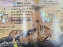 太酷啦！動物的秘密如此多（全12冊）兒童動物百科知識 超值贈送近180分鐘動畫視頻課 近800個關于動物的驚人秘密啟蒙兒童科普圖畫書兒童節(jié)禮物 六一 男孩女孩 曬單實拍圖