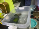 伊罕EHEIM 鱼缸内置过滤器乌龟过滤器 易提系列 高低水位通用 内置过滤器易提60（适合30-60L） 实拍图