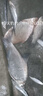 猛攻狂刃輕量小綜合釣魚竿手竿野釣臺(tái)釣竿手桿超輕硬翹嘴鯽鯉魚竿 7.2m 狂刃小綜合-休閑野釣 曬單實(shí)拍圖