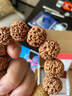 彌刻尼泊爾百年老樹籽六瓣大金剛菩提子手串男士佛珠鏈 文玩把件【心動】 五瓣爆肉21-22mm11顆+1顆龍頭 曬單實拍圖