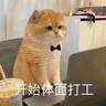 鴻星爾克板鞋男秋冬新款防滑高幫滑板鞋休閑鞋百搭加棉運動鞋【契約2.0】 微晶白/白露灰 41 曬單實拍圖