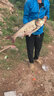 天網(wǎng)魚(yú)餌鰱鳙餌料大頭胖頭魚(yú)餌浮釣鰱鳙窩料花鰱白鰱水怪釣籠拋竿海桿爆 浮釣鰱鳙1kg榴蓮味 5包 曬單實(shí)拍圖