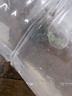 春瑞黑殼蝦水族箱水草缸清潔除藻工具淡水觀(guān)賞蝦大和藻蝦寵物活體飼料 黑殼200+100抵損耗 曬單實(shí)拍圖