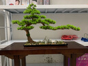 一木代傳 新中式仿真迎客松盆景擺件綠植工藝品酒店辦公室玄關(guān)軟裝飾品樣板間擺件開業(yè)喬遷禮物中秋送禮物 迎客松(松樹款) 曬單實(shí)拍圖