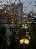 倍绿 太阳能灯串LED户外庭院灯圣诞节装饰灯防水星星灯七彩花园景观灯 100LED 12米 暖白 八功能 实拍图
