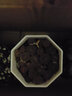 墨一（MOYI）星兜稀有貴貨精品開(kāi)花多肉小植物超萌無(wú)刺仙人球辦公室桌面肉肉 彩拼生石花【16顆左右 1cm】 不含盆 曬單實(shí)拍圖