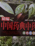 中國藥典中藥原色圖譜彩圖版精裝 收錄300余種常用中藥材中醫(yī)養(yǎng)生保健本草綱目中醫(yī)學(xué)入門書籍 曬單實(shí)拍圖