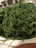 新鮮龍須菜 鹽漬鹿角菜石花菜 海藻火鍋食材 綠龍須菜5斤(500g*5袋) 曬單實(shí)拍圖