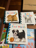 DK觸摸啟蒙動(dòng)物 Baby Touch And Feel:Animals 0-3歲觸摸書 曬單實(shí)拍圖