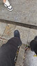 德比鞋男厚底cleanfit大頭英倫風(fēng)內增高圓頭通勤皮鞋黑色新款鞋子 炭黑增高款 41 曬單實(shí)拍圖