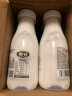 椰树牌正宗 椰子汁  245ml*24罐整箱装  植物蛋白饮料 实拍图