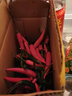 味小仙 新鮮小米椒 紅小米辣椒朝天椒 紅+青小米辣（共1斤） 曬單實拍圖