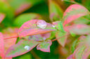 富士（FUJIFILM）增倍鏡XF1.4X TC WR 增距鏡XF70-300  XF80mm XF100-400mm XF50-140 XF150-600  XF200 XF1.4X TC WR 官 曬單實拍圖