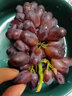 京配嘉果茉莉香葡萄 新鮮香甜紅提孕婦水果當季郁金香葡萄薄皮無(wú)籽提 1斤 精選裝 曬單實(shí)拍圖
