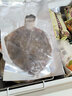 鹿凌青多寶魚(yú)【 鮮活發(fā)貨】現捕現發(fā) 冰鮮偏口魚(yú)八寶魚(yú)大菱鲆 比目魚(yú) 3條（1.1-1.2斤/條）包鮮不包活 【足稱(chēng)】支持驗稱(chēng) 曬單實(shí)拍圖