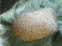 御披封邊熱熔膠顆粒中溫?zé)崛勰z封邊機(jī)顆粒膠高溫低溫可選熱融工業(yè)原材 中溫混合熱熔膠顆粒2.5公斤 曬單實(shí)拍圖