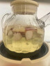康貓全玻璃恒溫水壺養(yǎng)生壺嬰兒煮茶壺保溫壺果茶壺多功能養(yǎng)生燒水分體玻璃鍋電熱水壺預(yù)約保溫 智能全自動【玻璃燉鍋+玻璃茶壺】 分體式易清洗1.5L 曬單實拍圖