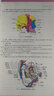 局部解剖學(xué) 第九版第9版 人衛(wèi)本科西醫(yī)臨床第九輪 五年制 藥理學(xué)生理學(xué)病理學(xué)內(nèi)科學(xué)系統(tǒng)解剖學(xué) 大學(xué)教材 考研書籍 9787117266581 人民衛(wèi)生出版社 曬單實(shí)拍圖