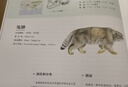 世界野生貓科動(dòng)物（你一定要收藏的野生大貓家譜畫(huà)冊(cè)！“貓盟”翻譯，探尋野生貓科動(dòng)物種群之間的關(guān)聯(lián)，漫談它們的家族秘史和趣聞，體驗(yàn)有溫度、有意思的科學(xué)研究?。?曬單實(shí)拍圖