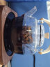 忆壶茶电陶炉茶具套装玻璃煮茶器耐高温煮茶壶家用大容量普洱茶具套装 实拍图
