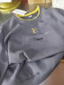 聆欣時尚衛(wèi)衣女春秋新款女裝2025年女士上衣服純棉打底長袖衫韓版休閑 深灰色 XL 建議100-115斤 曬單實拍圖