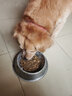 鼎鑫狗糧通用型成犬幼犬金毛拉布拉多老年狗糧中大型多拼凍干小型犬糧 鼎鑫凍干碎7拼 10kg狗糧20斤裝 曬單實(shí)拍圖