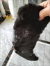 蜜凡蘇羽絨服毛領(lǐng)女單買(mǎi)真皮獺兔毛領(lǐng)子真毛單賣(mài)男士女通用加翻領(lǐng)單買(mǎi) 黑色家兔毛_方領(lǐng) 曬單實(shí)拍圖