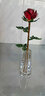晶亦求精元旦情人節禮物女送女友生日禮物老婆實(shí)用浪漫高檔水晶玫瑰花擺件 綠葉紅玫瑰+【花瓶】 曬單實(shí)拍圖