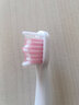 【5支裝】鉑瑞BR-Z1電動(dòng)牙刷頭 柔軟細刷頭通用型 粉色【5支裝】 曬單實(shí)拍圖