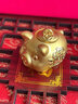 LPEZ老鳳凰黃金小金豬存金罐2023新款999足金本命年生肖豬擺件存錢罐 黃金豬存錢罐金約8.3-8.8 曬單實拍圖