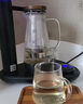 新功（SEKO）自動(dòng)上水電熱水壺茶玻璃燒水壺功夫電茶壺茶藝爐煮茶器W4 黑色 曬單實(shí)拍圖