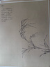 吳鎮(zhèn)(墨竹譜)/中國美術(shù)學(xué)院臨摹范本 曬單實(shí)拍圖