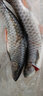 君東路亞竿套裝魚竿水滴輪超輕釣魚竿碳素直柄槍手柄路亞假餌海竿投竿拋桿 鱸王2.4米槍柄（右手水滴輪） 曬單實拍圖