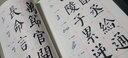 【可選】中學(xué)生字帖 葉圣陶題 柳體+歐體+顏體+趙體 上海書(shū)畫(huà)出版社 中學(xué)生字帖套裝4冊 曬單實(shí)拍圖
