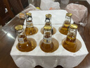 皇家獅牌經(jīng)典拉格啤酒 中高麥芽度精釀 網(wǎng)紅小瓶裝金標拉環(huán)蓋聚會(huì )酒吧專(zhuān)用 236mL 12瓶 組合裝 曬單實(shí)拍圖