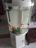 閩江（minjiang）半圓形魚(yú)缸水族箱圓柱型金魚(yú)缸客廳生態(tài)造景免換水錦鯉烏龜缸 純白色+造景套餐+開(kāi)缸禮包 BY560（魚(yú)缸+儲物柜子） 曬單實(shí)拍圖